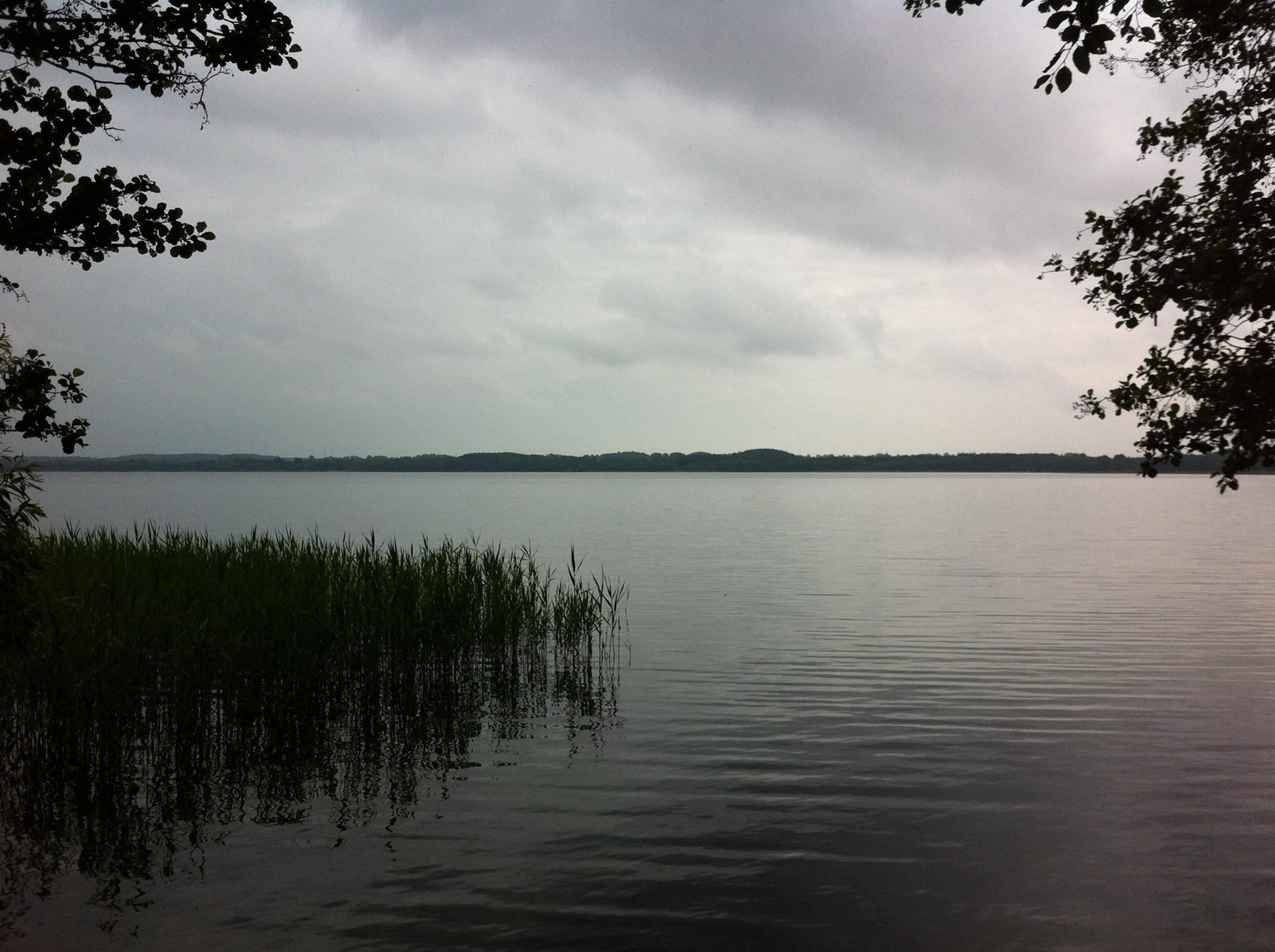 Lake Selenter See near Fargau